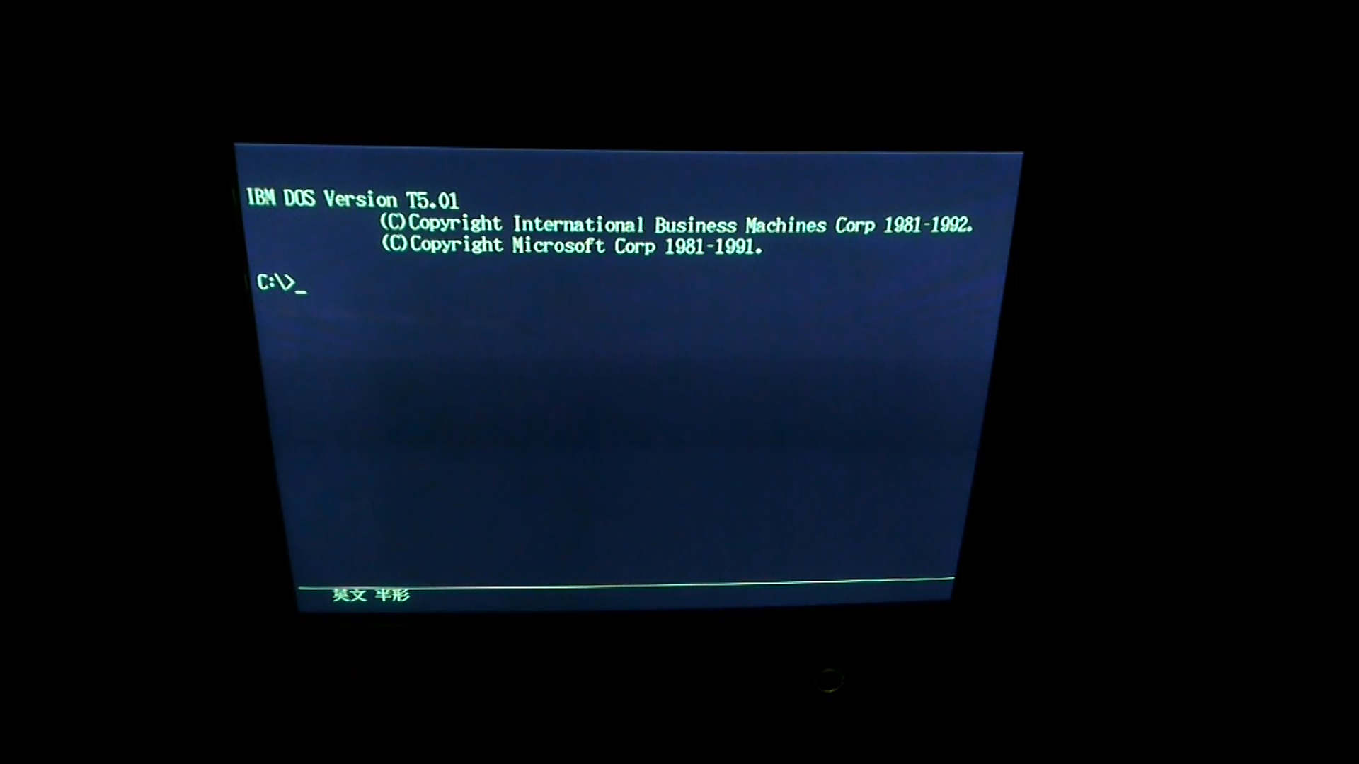 DOS-T501_3